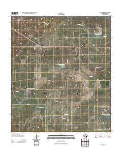 Live Oak 2013 topographic map thumbnail