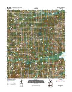 Long Branch 2013 topographic map thumbnail
