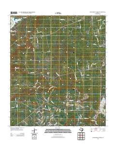 Longhorn Cavern 2012 topographic map thumbnail