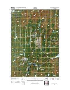 Bloomingdale 2013 topographic map thumbnail