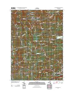 Duanesburg 2013 topographic map thumbnail