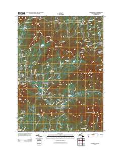 Hensonville 2013 topographic map thumbnail