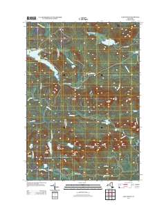 Lake Ozonia 2013 topographic map thumbnail
