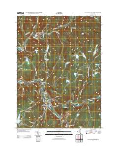 Livingston Manor 2013 topographic map thumbnail