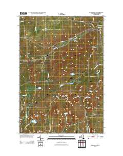 Peasleeville 2013 topographic map thumbnail