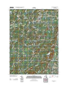 Pine Bush 2013 topographic map thumbnail