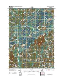 Pine Island 2013 topographic map thumbnail