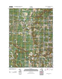 North Collins 2013 topographic map thumbnail