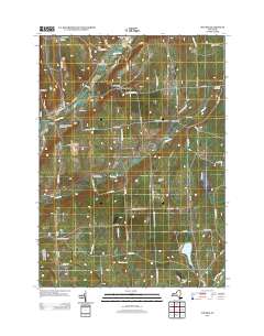 Pitcher 2013 topographic map thumbnail