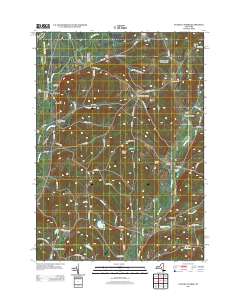 Unadilla Forks 2013 topographic map thumbnail