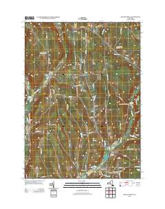South Otselic 2013 topographic map thumbnail