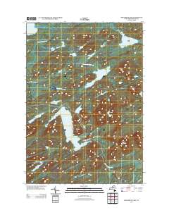 Brandreth Lake 2013 topographic map thumbnail