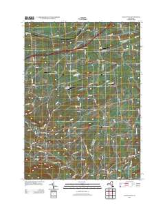 Gallupville 2013 topographic map thumbnail