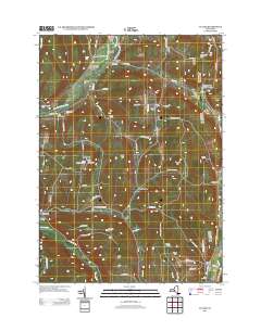 Cuyler 2013 topographic map thumbnail