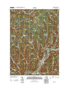 Delhi 2013 topographic map thumbnail