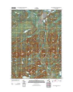 Long Tom Mountain 2013 topographic map thumbnail
