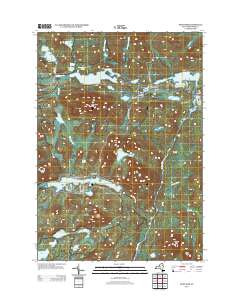 Newcomb 2013 topographic map thumbnail