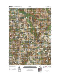 Caledonia 2013 topographic map thumbnail