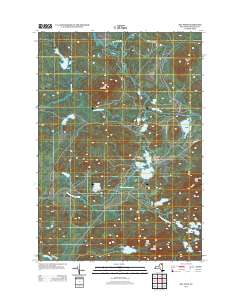 Bay Pond 2013 topographic map thumbnail