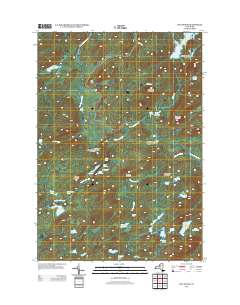 Five Ponds 2013 topographic map thumbnail