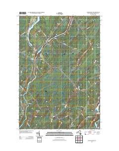 Chase Mills 2013 topographic map thumbnail