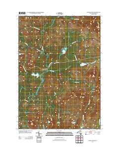 Cheney Pond 2013 topographic map thumbnail