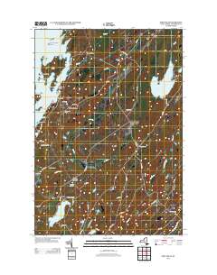 Pope Mills 2013 topographic map thumbnail