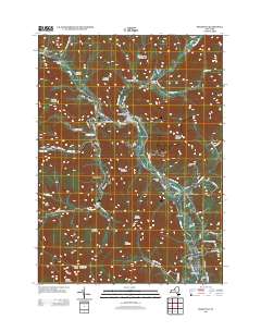 Phoenicia 2013 topographic map thumbnail