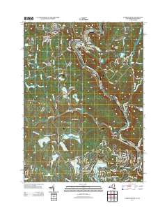 Narrowsburg 2013 topographic map thumbnail