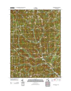 Troupsburg 2013 topographic map thumbnail