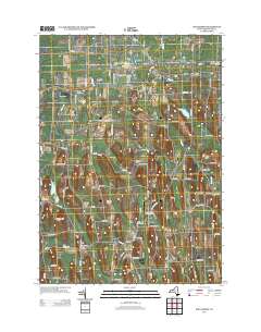 Williamson 2013 topographic map thumbnail