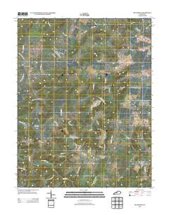 Big Spring 2013 topographic map thumbnail