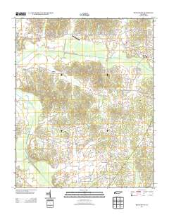 Beech Bluff 2013 topographic map thumbnail