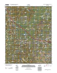 Campbell Junction 2013 topographic map thumbnail