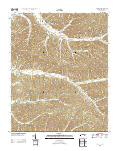 Pine View 2013 topographic map thumbnail