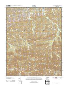 Mount Le Conte 2013 topographic map preview
