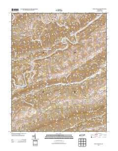 Swan Island 2013 topographic map thumbnail