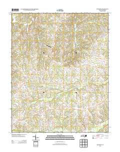 Bethany 2013 topographic map thumbnail