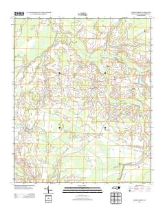 Cerro Gordo 2013 topographic map thumbnail