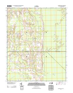 Corapeake 2013 topographic map thumbnail