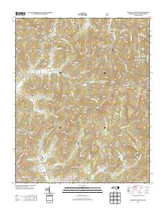 Craggy Pinnacle 2013 topographic map thumbnail