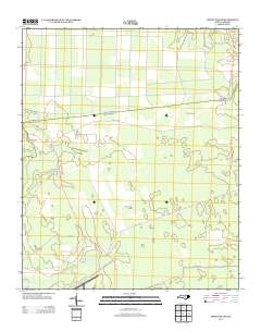 Honey Island 2013 topographic map thumbnail