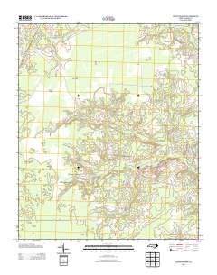 Lewis Swamp 2013 topographic map thumbnail