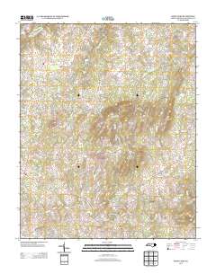 Snow Camp 2013 topographic map thumbnail