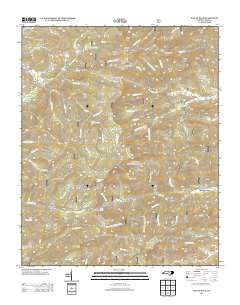 Wayah Bald 2013 topographic map thumbnail