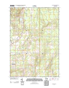 Gleason 2013 topographic map thumbnail