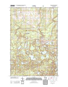 Iron Lake 2013 topographic map thumbnail