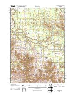 Shamrock 2013 topographic map thumbnail