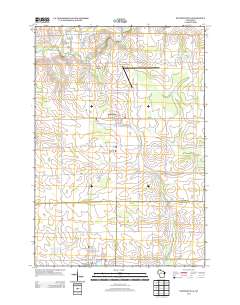 Stetsonville 2013 topographic map thumbnail