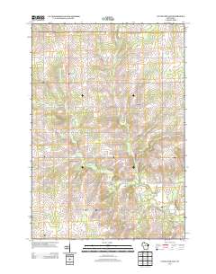 Little Chicago 2013 topographic map thumbnail